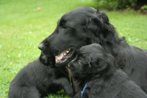Bonnie met Bate